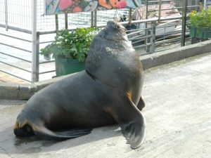 In October 2025 we partnered with Nations In Love, a Texas nonprofit. We did ministry of teaching, healing and prayer in local churches, evangelism in public and bringing food and gifts to people in their homes. 